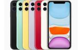 iphone-11-bi-nguoi-dung-nem-da-co-nao-341632.html