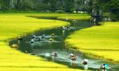 diem-check-in-mua-lua-chin-vang-don-tim-gioi-tre-341729.html
