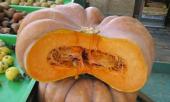nhung-thuc-pham-an-vao-buoi-sang-la-thuoc-bo-cho-gan-danh-bay-moi-benh-tat-347964.html