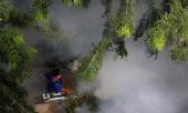 singapore-doi-mat-voi-tinh-trang-khan-cap-cua-benh-sot-xuat-huyet-384398.html