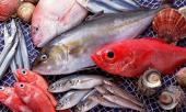 5-loai-ca-ai-cung-nghi-bo-duong-nhung-lai-de-nhiem-thuy-ngan-dac-biet-loai-thu-1-nhieu-nguoi-yeu-thich-396503.html