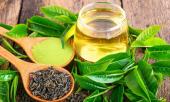 2-loai-nuoc-la-thuoc-chong-ung-thu-tu-nhien-giup-ha-mo-mau-hieu-qua-tat-ca-deu-rat-san-o-viet-nam-396626.html