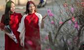 nam-2024-nguoi-lao-dong-duoc-nghi-bao-nhieu-ngay-le-tet-399371.html