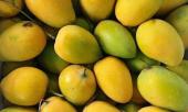 7-loai-qua-de-tam-thuoc-sau-nhat-khong-canh-giac-se-ruoc-day-hoa-chat-vao-nguoi-403584.html