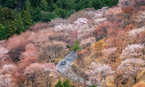 'Con đường lãng mạn' Nhật Bản: Điểm đến lý tưởng dành cho những cặp đôi, nối liền nhiều danh lam thắng cảnh