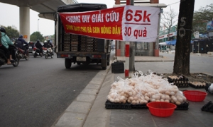 Sự thật chuyện 'giải cứu trứng gà 65.000 đồng 30 quả' tràn lan trên vỉa hè Hà Nội