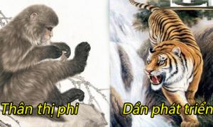 Lộc bất tận hưởng: 2 con giáp tiền - tài phủ phê, 2 con giáp lại 'còng lưng' gánh nợ trong 30 ngày tới