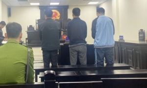 Tòa tuyên tổng cộng 22 tháng tù với 3 cựu công an bắn dê của dân