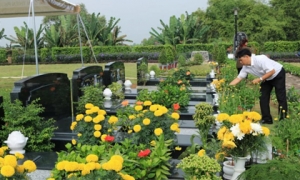 Nên chọn hoa gì để đi tảo mộ trong tiết Thanh Minh? 