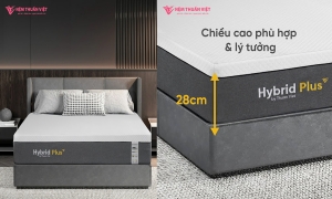 Nệm Thuần Việt đón đầu xu hướng công nghệ 5IN1 với Nệm Foam Latex Hybrid Plus