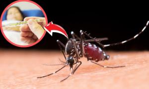 Một căn bệnh nguy hiểm tại Việt Nam đang vào mùa cao điểm: Vừa trò chuyện, vài phút sau đã tử vong