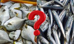 Ăn loại nào tốt hơn cá lớn hay cá nhỏ? Bộ phận này của cá cực tốt nhưng hay bị vứt bỏ
