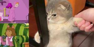 Cười té ghế với collection meme hot nhất Anhnghethuatdulich.com