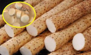 Loại củ phơi khô rất sẵn ở Việt Nam, là 'thuốc trường thọ' giúp dưỡng thận, kiểm soát đường huyết