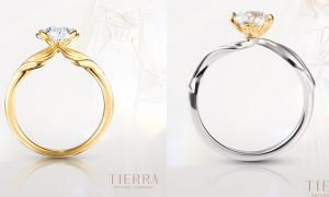 Nhẫn cầu hôn Tension: Lựa chọn tinh tế cho ngày cầu hôn rực rỡ