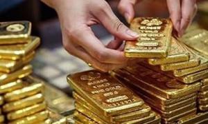 Giấu vàng vào giày, lách máy soi: Thủ đoạn của đường dây buôn lậu vàng