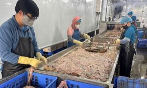 Thu giữ gần 60 tấn lòng lợn đổi màu, bốc mùi hôi thối ở Hà Nội