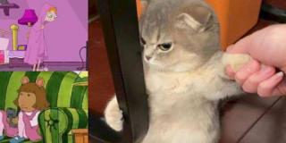 Cười té ghế với collection meme hot nhất Anhnghethuatdulich.com Cười té ghế với collection meme hot nhất Anhnghethuatdulich.com