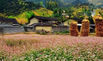 Không chỉ có đèo Mã Pì Lèng, Hà Giang còn có những chốn khiến du khách đi chẳng muốn về thế này Không chỉ có đèo Mã Pì Lèng, Hà Giang còn có những chốn khiến du khách đi chẳng muốn về thế này