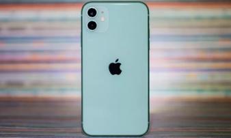 Giá iPhone 11 chạm đáy tại Việt Nam, 13 triệu đã có thể mua Giá iPhone 11 chạm đáy tại Việt Nam, 13 triệu đã có thể mua