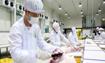 Nguy cơ thiếu thịt lợn nghiêm trọng dịp Tết Nguyên Đán 2020 Nguy cơ thiếu thịt lợn nghiêm trọng dịp Tết Nguyên Đán 2020