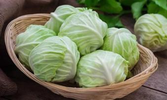 Ăn bắp cải mà phạm phải những đại kỵ này là rước thêm bệnh vào thân, nên bỏ ngay kẻo 'hối không kịp' Ăn bắp cải mà phạm phải những đại kỵ này là rước thêm bệnh vào thân, nên bỏ ngay kẻo 'hối không kịp'
