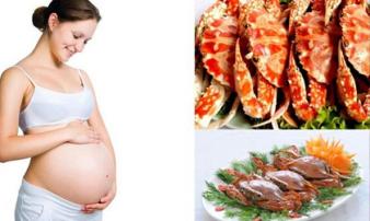 3 loại hải sản mẹ bầu ăn càng nhiều càng đẹp da, con sinh ra cao lớn khỏe mạnh 3 loại hải sản mẹ bầu ăn càng nhiều càng đẹp da, con sinh ra cao lớn khỏe mạnh