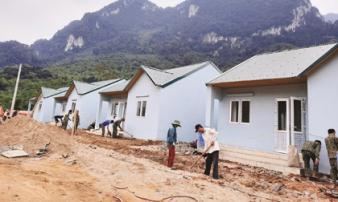 Sự sống hồi sinh trên vùng đất Sa Ná sau cơn đại hồng thủy Sự sống hồi sinh trên vùng đất Sa Ná sau cơn đại hồng thủy
