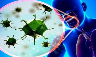 Virus corona có thể sống trong cơ thể một tháng Virus corona có thể sống trong cơ thể một tháng