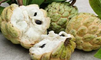 Ăn na rất tốt nhưng nhớ kĩ điều này kẻo mua thêm bệnh vào người, nguy hại khó lường Ăn na rất tốt nhưng nhớ kĩ điều này kẻo mua thêm bệnh vào người, nguy hại khó lường