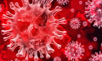 Phát hiện mới về cơ chế lây lan của virus corona Phát hiện mới về cơ chế lây lan của virus corona