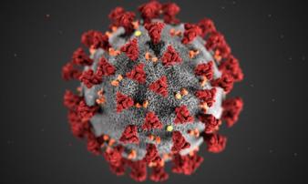 Trung Quốc tìm thấy kháng thể mới chống virus corona Trung Quốc tìm thấy kháng thể mới chống virus corona