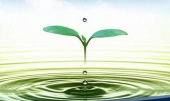 Nước - một chữ ngắn ngủi, nhưng hàm chứa kho trí tuệ đời người: Những ngày dịch bệnh lại càng thấm thía! Nước - một chữ ngắn ngủi, nhưng hàm chứa kho trí tuệ đời người: Những ngày dịch bệnh lại càng thấm thía!
