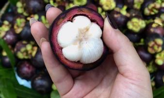 Sầu riêng, măng cụt Thái Lan đổ vào Việt Nam Sầu riêng, măng cụt Thái Lan đổ vào Việt Nam