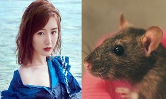 Uống cạn lộc trời: 3 con giáp túi rủng rỉnh tiền, đời sang trang mới trong 3 tháng tới Uống cạn lộc trời: 3 con giáp túi rủng rỉnh tiền, đời sang trang mới trong 3 tháng tới