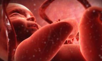 Bé 1 tháng tuổi đã mắc giang mai: Nguyên nhân và cách phòng tránh bệnh này, bố mẹ cần nắm Bé 1 tháng tuổi đã mắc giang mai: Nguyên nhân và cách phòng tránh bệnh này, bố mẹ cần nắm