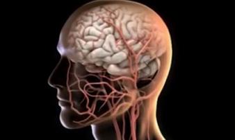 Suýt đột tử ở tuổi 28: Chàng trai hối tiếc về sai lầm nguy hại mà đa số người trẻ đều mắc Suýt đột tử ở tuổi 28: Chàng trai hối tiếc về sai lầm nguy hại mà đa số người trẻ đều mắc