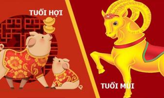 Tử vi thứ Tư ngày 15/7/2020 của 12 con giáp: Mão cẩn thận mất tiền, Hợi xảy ra xung đột Tử vi thứ Tư ngày 15/7/2020 của 12 con giáp: Mão cẩn thận mất tiền, Hợi xảy ra xung đột