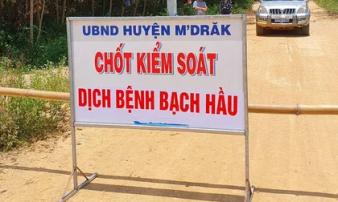 Thêm nhiều trường hợp mắc bạch hầu, Đắk Lắk cách ly hàng ngàn người dân Thêm nhiều trường hợp mắc bạch hầu, Đắk Lắk cách ly hàng ngàn người dân