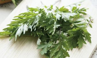 Ngải cứu là vị thuốc quý nhưng 3 trường hợp sau tuyệt đối không được ăn Ngải cứu là vị thuốc quý nhưng 3 trường hợp sau tuyệt đối không được ăn