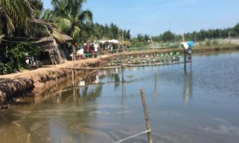 3 người chết trong chòi tôm để lại 2 lá thư tuyệt mệnh 3 người chết trong chòi tôm để lại 2 lá thư tuyệt mệnh