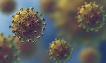 Giới khoa học lo ngại hai biến thể Covid-19 đang hợp nhất thành virus lai đột biến