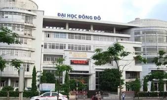 Xác định 203 người được Đại học Đông Đô cấp bằng giả Xác định 203 người được Đại học Đông Đô cấp bằng giả