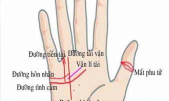 3 bàn tay cực hiếm của người được 'Thần tài độ mạng', khổ trước sướng sau, càng có tuổi càng phát tài 3 bàn tay cực hiếm của người được 'Thần tài độ mạng', khổ trước sướng sau, càng có tuổi càng phát tài