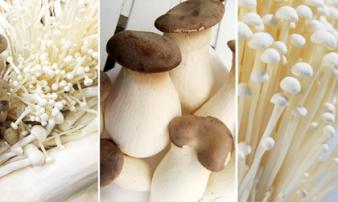 6 loại thực phẩm giàu protein hơn thịt cá giúp trẻ nhỏ cao vút, nhất là loại thứ 2 6 loại thực phẩm giàu protein hơn thịt cá giúp trẻ nhỏ cao vút, nhất là loại thứ 2