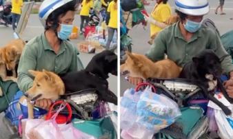Chủ của 15 chú chó bị tiêu hủy: 'Tôi chỉ biết gạt nước mắt, cố gắng không nghĩ ngợi nhiều nữa' Chủ của 15 chú chó bị tiêu hủy: 'Tôi chỉ biết gạt nước mắt, cố gắng không nghĩ ngợi nhiều nữa'