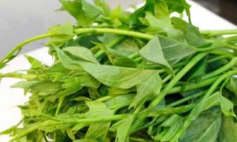 Thứ rau rẻ tiền người Việt chả mấy khi ăn: Được ví là rau trường thọ, bổ như nhân sâm Thứ rau rẻ tiền người Việt chả mấy khi ăn: Được ví là rau trường thọ, bổ như nhân sâm