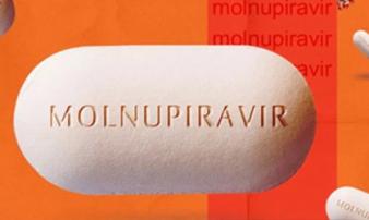 Nóng: Bộ Y tế đưa ra những cảnh báo, thận trọng khi dùng thuốc Molnupiravir Nóng: Bộ Y tế đưa ra những cảnh báo, thận trọng khi dùng thuốc Molnupiravir