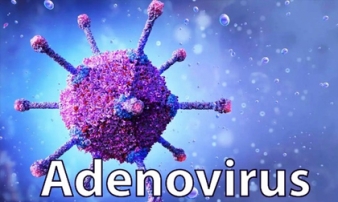 Phân biệt dấu hiệu mắc Adenovirus với bệnh cảm cúm thông thường