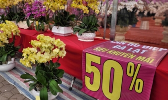 Ngày 29 Tết, Lan Hồ Điệp sale tới 50% vẫn vắng khách